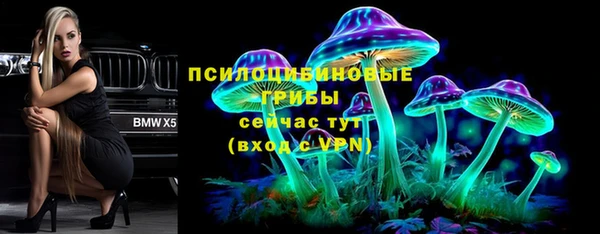 не бодяженный Каменногорск