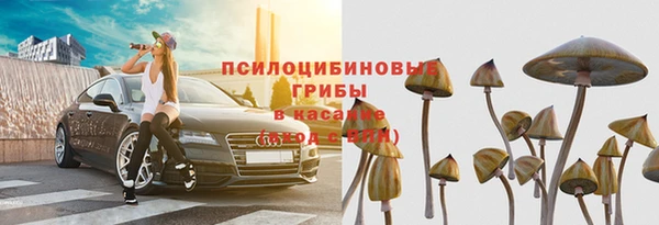 соль ск Рославль