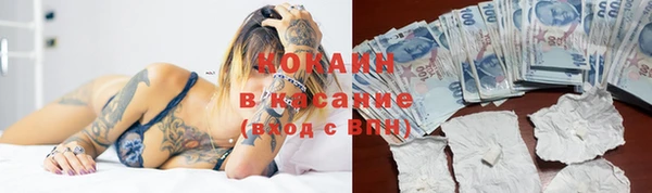 ПСИЛОЦИБИНОВЫЕ ГРИБЫ Семёнов