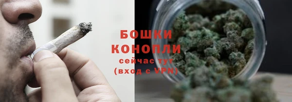 шишки Жердевка