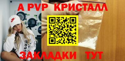 стафф Заводоуковск