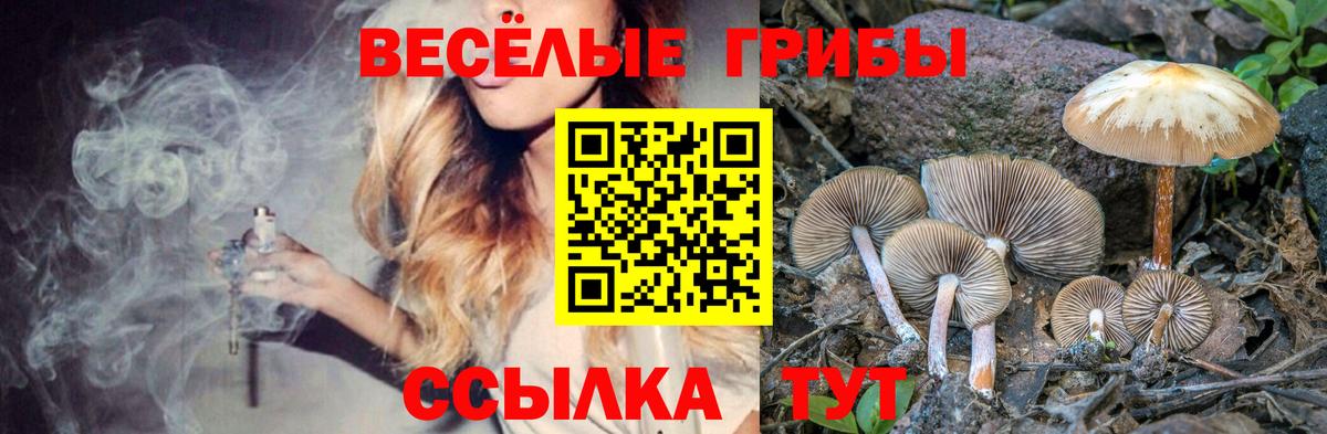 Галлюциногенные грибы мухоморы  Азов  наркотики  Галлюциногенные грибы ЛСД 