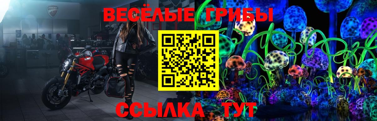 Галлюциногенные грибы Psilocybe  Вход с VPN  Азов 